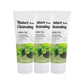 (3 Units) Foodaholic Nature Cleansing Foam Green Tea